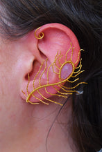 Φόρτωση εικόνας στο εργαλείο προβολής Συλλογής, Peacock