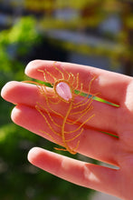 Φόρτωση εικόνας στο εργαλείο προβολής Συλλογής, Peacock