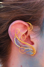 Φόρτωση εικόνας στο εργαλείο προβολής Συλλογής, Delphine