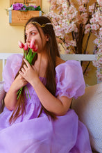 Φόρτωση εικόνας στο εργαλείο προβολής Συλλογής, Aurora